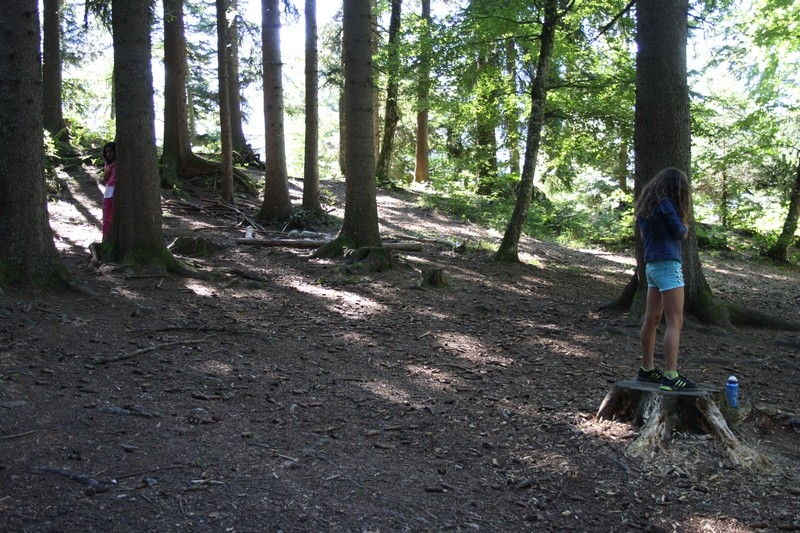 Village Camps International Summer Camp Leysin, Switzerland 2026-08-15 https://www.villagecamps.com/journals_admin/images/709-43-nature (44).jpg